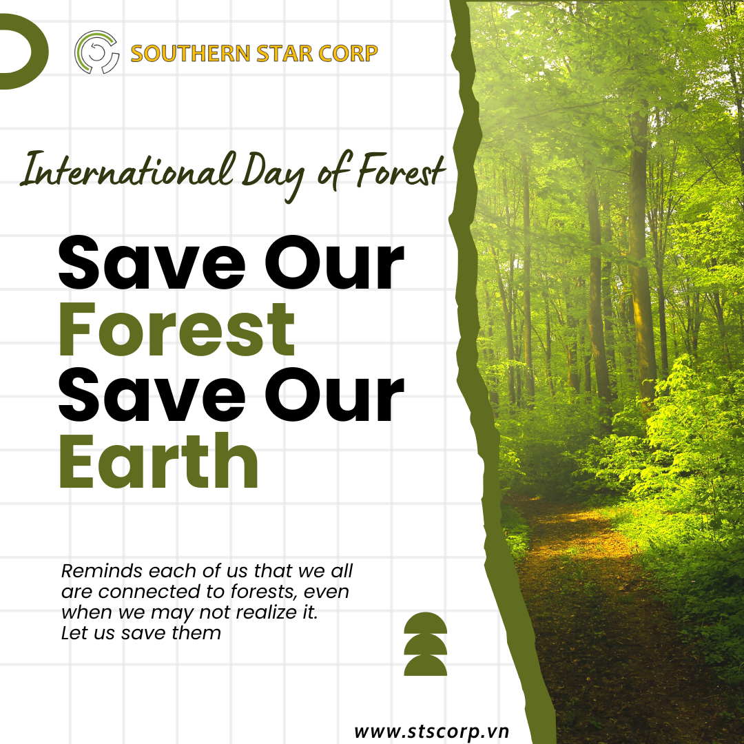 RỪNG VÀ MỐI LIÊN HỆ HẠNH PHÚC