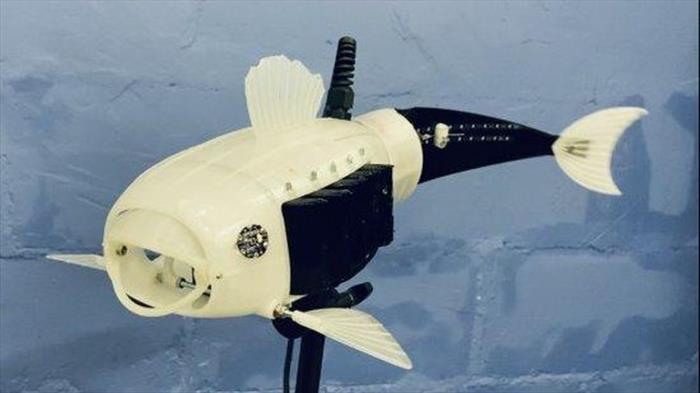 CÁ ROBOT THU GOM VI NHỰA TRONG NƯỚC, CHỐNG Ô NHIỄM MÔI TRƯỜNG