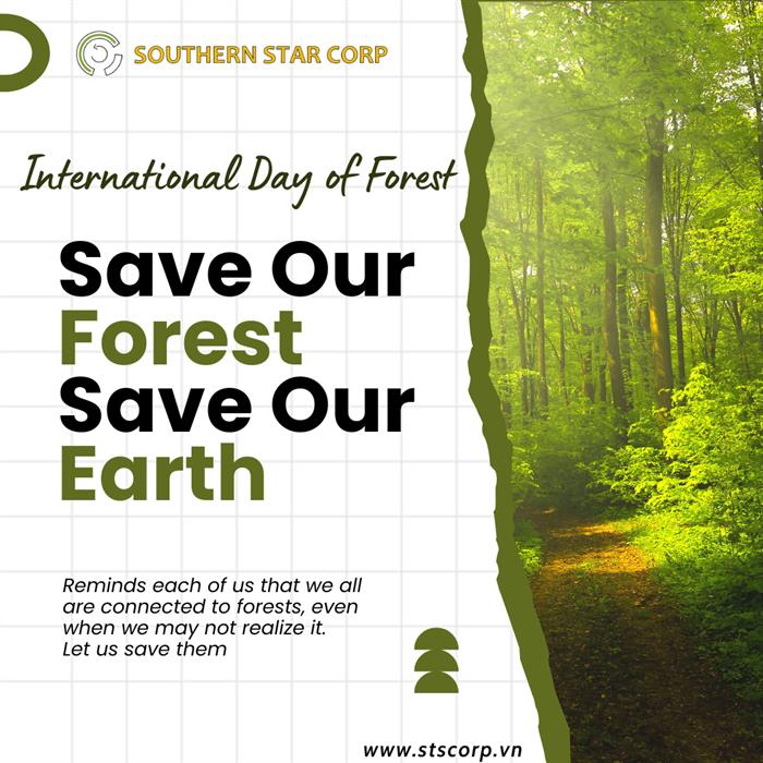 RỪNG VÀ MỐI LIÊN HỆ HẠNH PHÚC