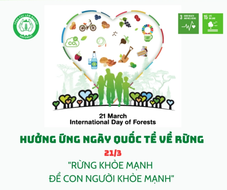 rừng và hạnh phúc